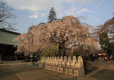 寶幢寺