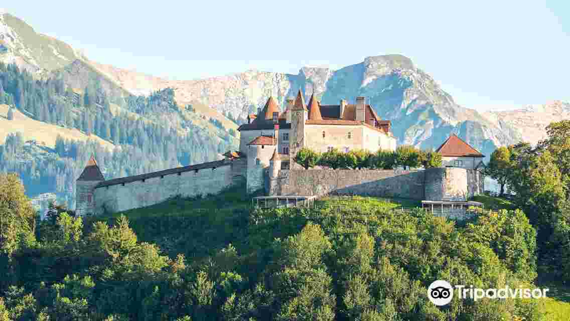 Chillon Castle + Grand Fork + Lac des Joncs + Charlie Chaplin Statue + Lavaux Vineyard Terraces one-day tour