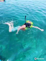 Koh Talu Snorkeling