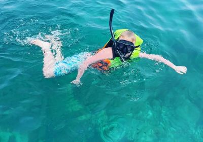 Koh Talu Snorkeling