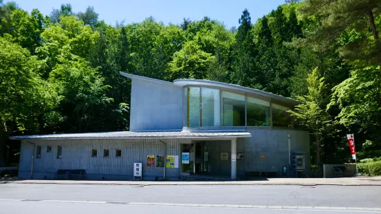 Kuji Amber Museum
