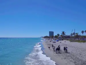 Ocean Park Beach