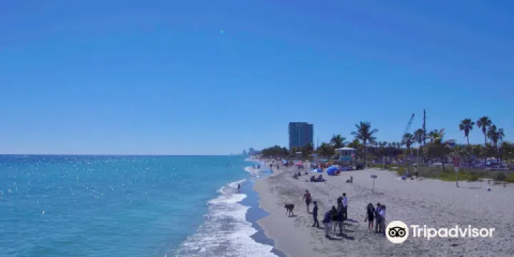 Dania Beach