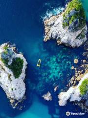 Ocean Leopard Tours Cathedral Cove Boat Tour