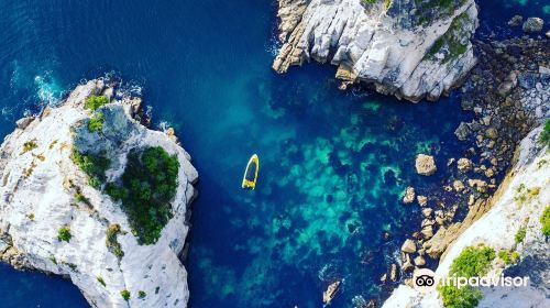 Ocean Leopard Tours Cathedral Cove Boat Tour