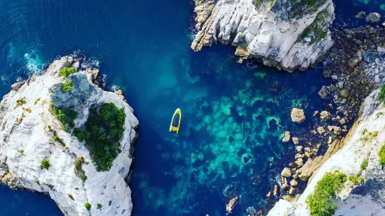 Ocean Leopard Tours Cathedral Cove Boat Tour