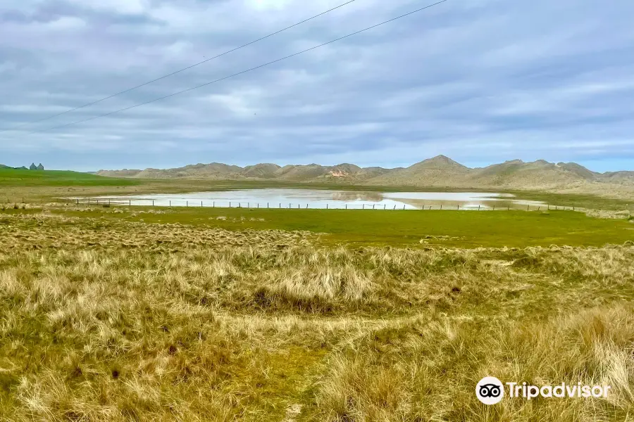 RSPB Loch of Strathbeg