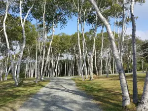Savary Provincial Park