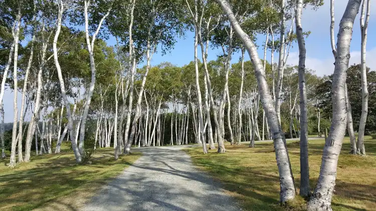 Hotels in Digby County