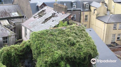 Cobh Rebel Walking Tours