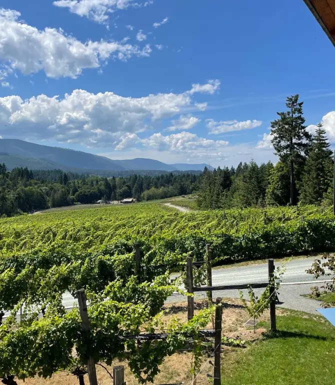 Cowichan Valley E