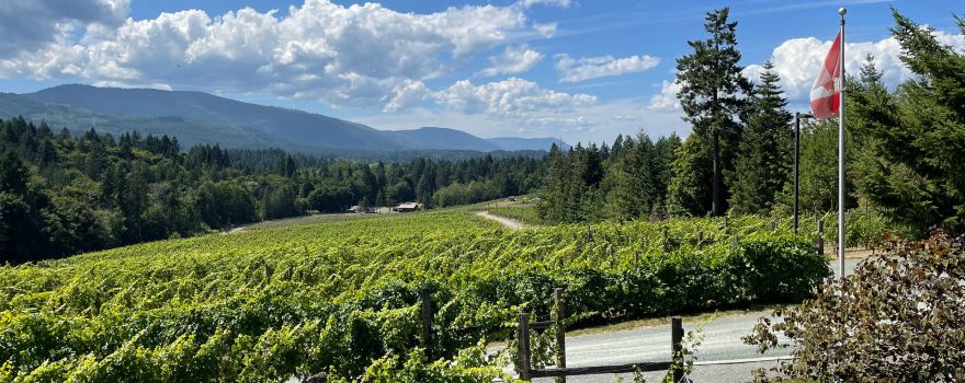Blue Grouse Estate Winery