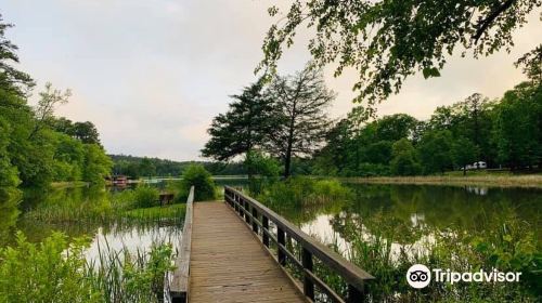 Tyler State Park