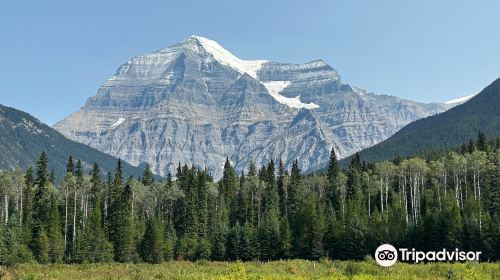 Mt. Robson