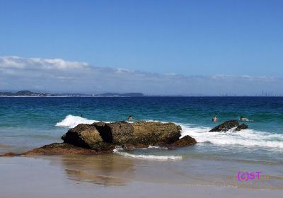 Snapper Rocks