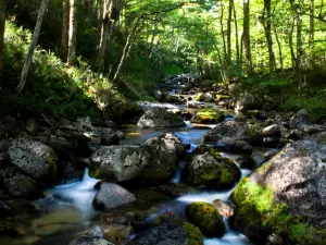 Simpson River National Reserve