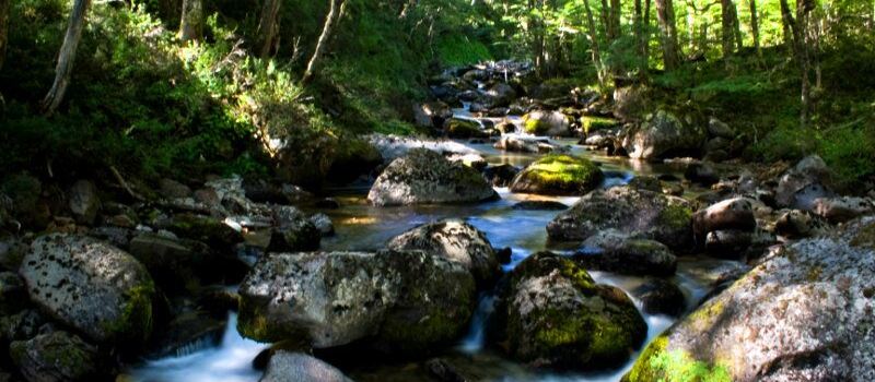Simpson River National Reserve