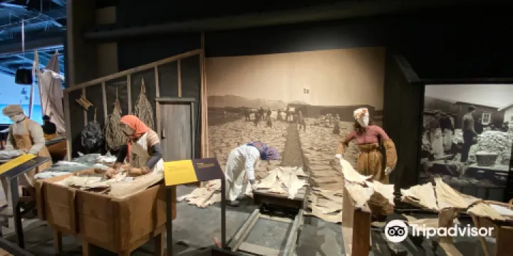 Kvikan （Saltfish Museum） & Tourist Information Center