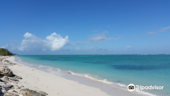 Pelican Beach