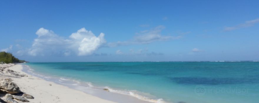 Pelican Beach