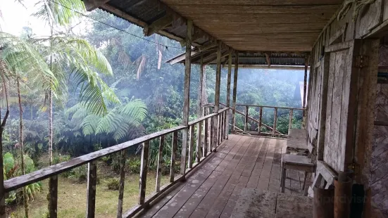La Danta Salvaje - Costa Rica Vacations