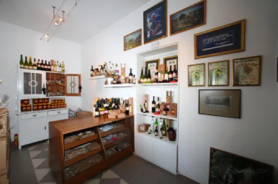 Museum of Beekeeping and Winery Živanović