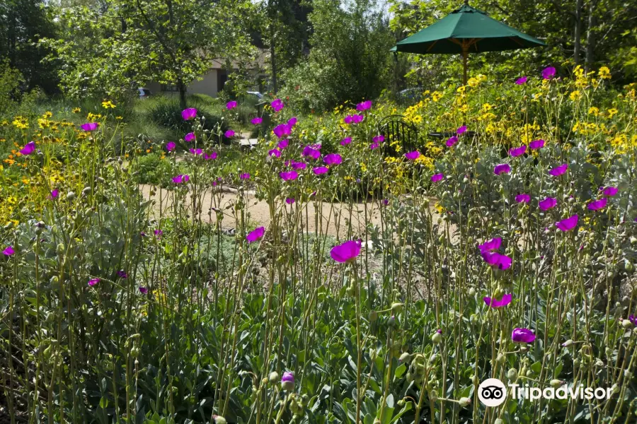 Arlington Garden in Pasadena