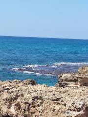 HaBonim Beach