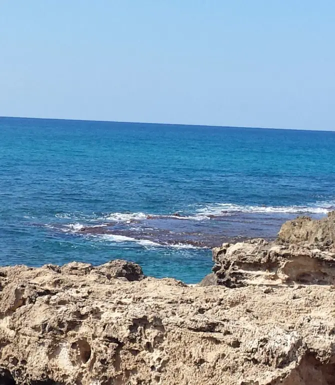 HaBonim