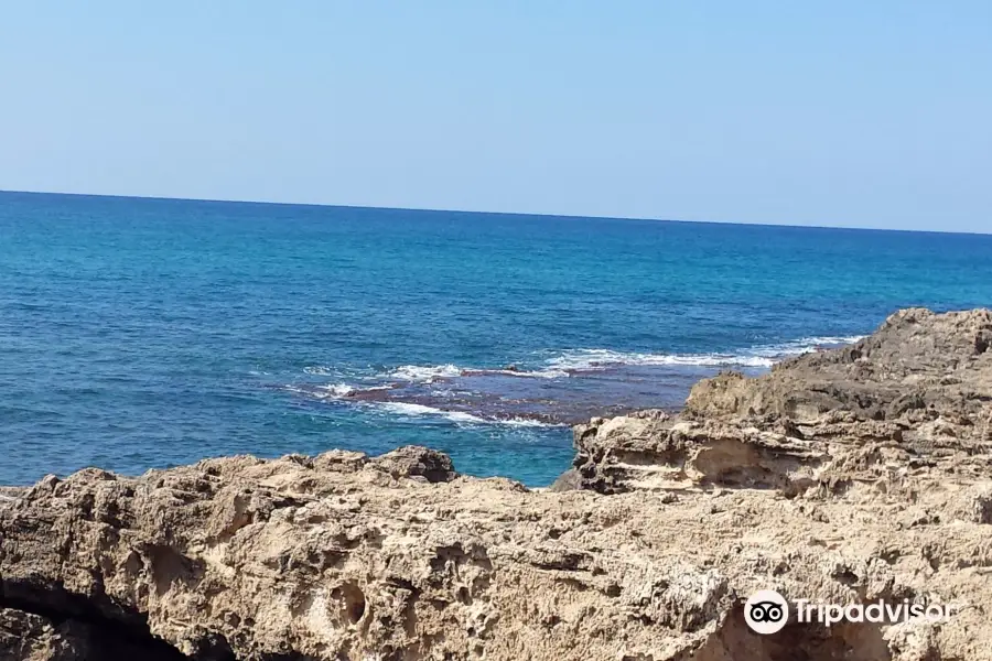 HaBonim Beach