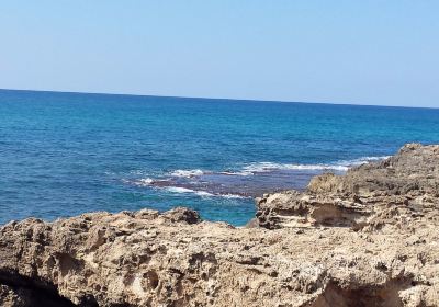Haifa-distriktet