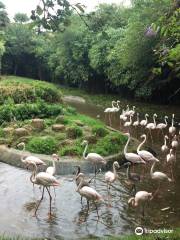 Zoo d'asson