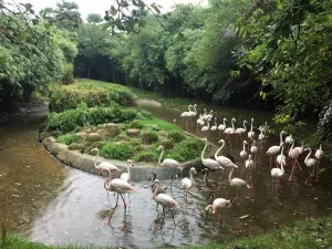 Zoo d'asson