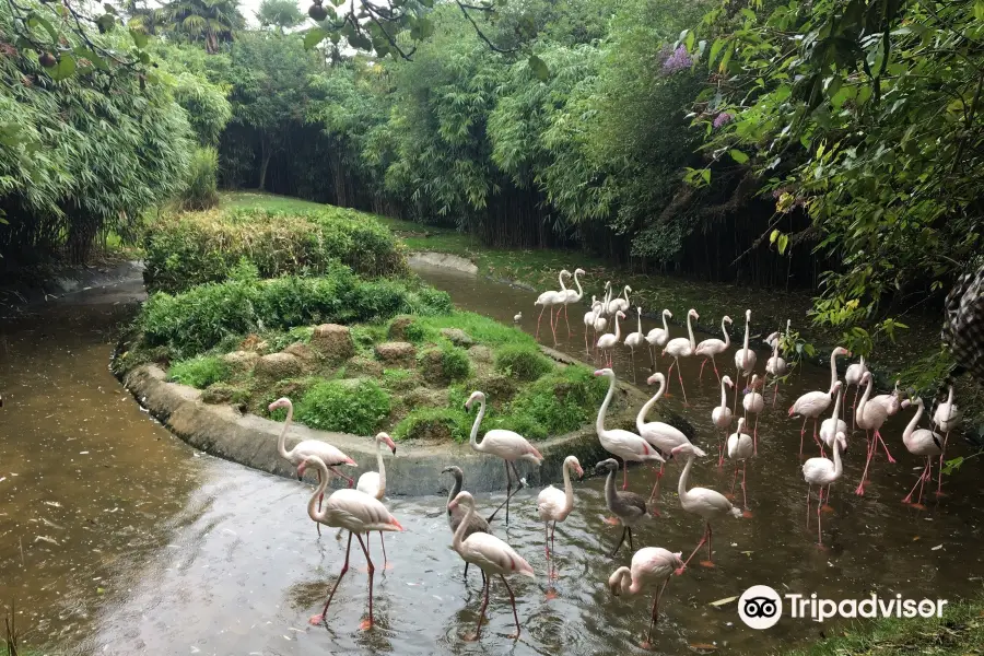 Zoo d'asson