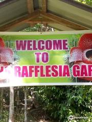 Adenna Rafflesia Garden