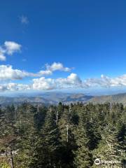 Clingmans Dome