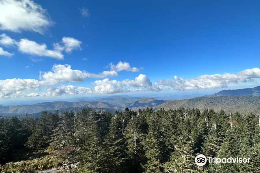 Clingmans Dome