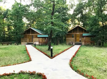 Sakarya Il Ormani Tabiat Parki