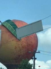 The Peachoid