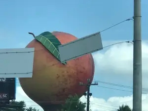 The Peachoid