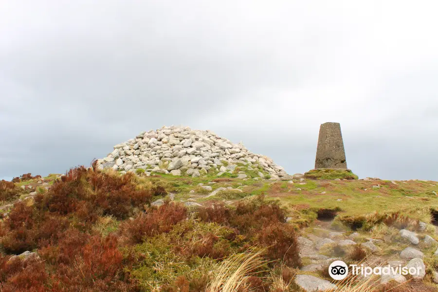 Ticknock Forest