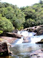 Parque Estadual da Serra do Mar