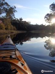 Southern Cross Kayaking