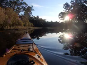 Southern Cross Kayaking