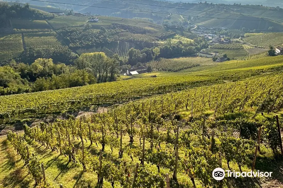 Cantina Montaribaldi