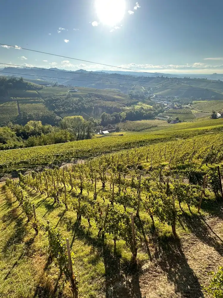 Hotels in Barbaresco