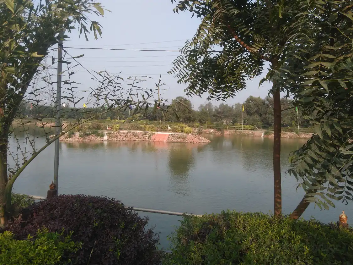 Hotels near City Forest C1 Pocket