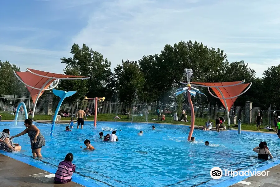 Swimming Natatorium Treviso Santa Bona