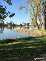 Lodi Lake