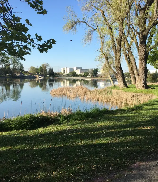 Lodi